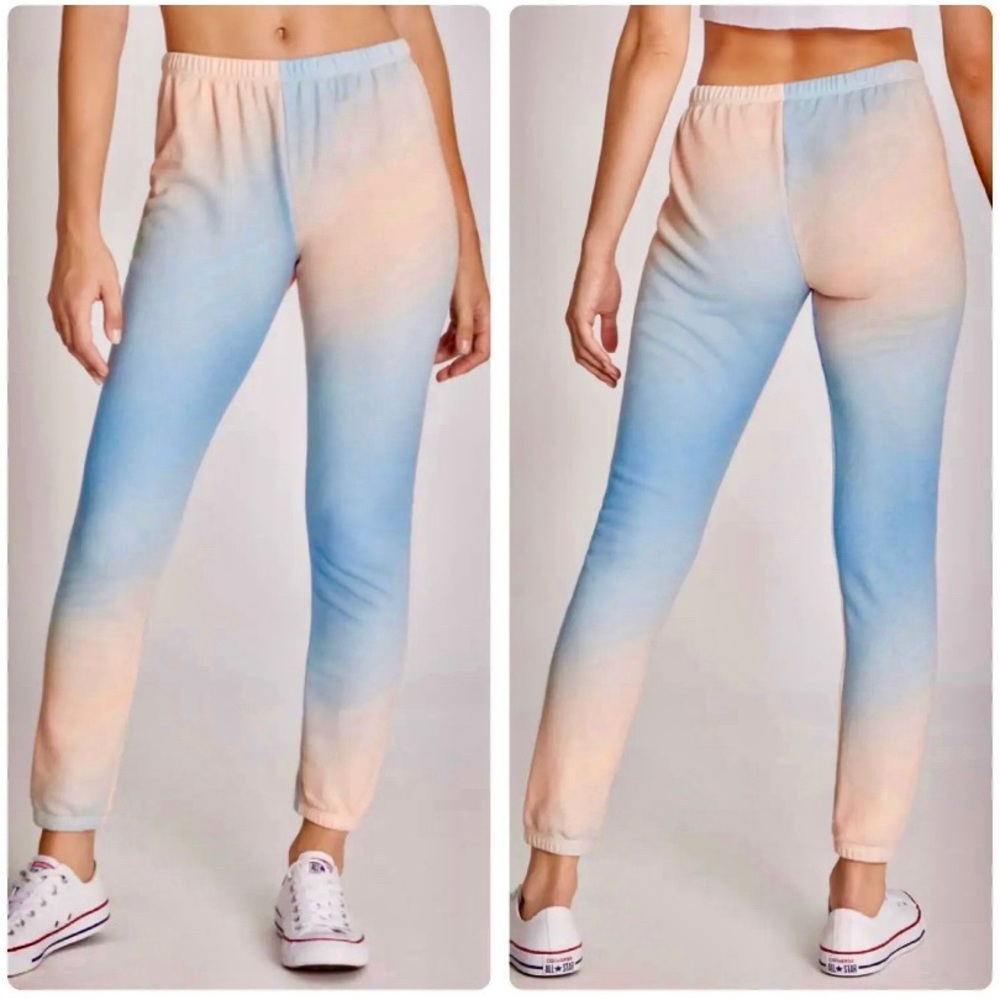 Wildfox Grotto Knox Sweatpants Jogger Lounge Pink Blue Pastel Ombre NEW NWT XS.